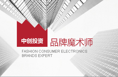 中創(chuàng)投資案例圖片