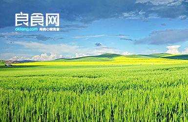 良食網(wǎng)案例圖片